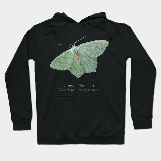 Beautiful Teal-colored Moth Hoodie by StephJChild